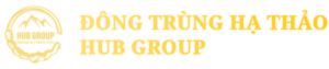 Logo dong trung ha thao